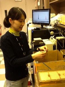 Minae Niwa, one of the authors of the paper published in Science, conducts research in the Johns Hopkins Schizophrenia Center. PHOTO BY Shin-Ichi Kano