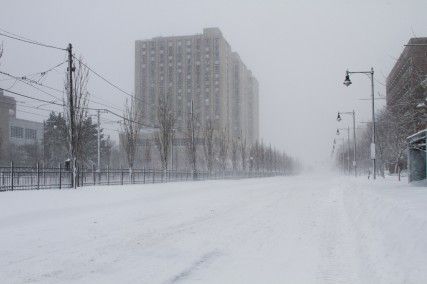 Commonwealth Avenue was still under the process of being cleared at 10:30 a.m. Saturday after Winter Storm Nemo dumped two feet of snow Friday night. PHOTO BY MICHELLE JAY/DAILY FREE PRESS STAFF