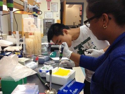 Shawn Jin (left), a Sargent College of Health and Rehabilitation Sciences junior and competitor in the international iGem competition, mentors a local high school student who is interested in creating her own iGem team. PHOTO COURTESY OF JAKE AWTRY.
