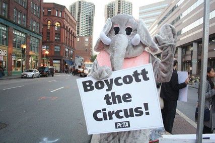 People for the Ethical Treatment of Animals and In Defense of Animals organizations sponsored a protest against Ringling Bros. and Barnum & Bailey Circus’s treatment of animals Friday evening by T.D. Garden. PHOTO BY JUSTIN HAWK/DAILY FREE PRESS STAFF