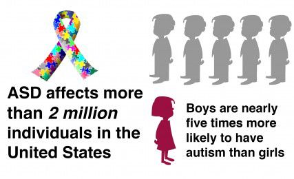 Autism Spectrum Disorder diagnoses have increased by 600 percent in the last twenty years, according to Autism Speaks. Massachusetts is also one of the few states that does not offer Department of Developmental Services support for transitioning youth with an IQ above 70. PHOTO ILLUSTRATION BY MAYA DEVEREAUX/DAILY FREE PRESS STAFF