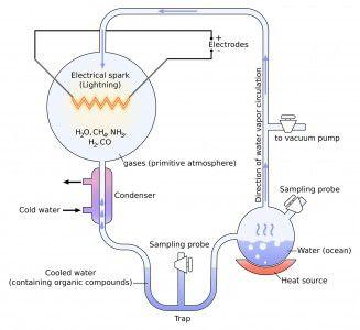 One flask was filled with gases mimicking the Earth’s early atmosphere (left) and the other was filled with water (right). Evaporated water flows from the right flask up and around into the left flask, where it meets an electrical spark to represent lightning. PHOTO COURTESY OF CREATIVE COMMONS