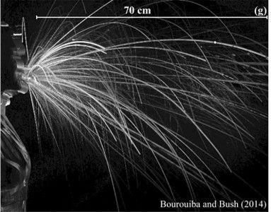 In their study, researchers used high-speed cameras to examine the distance that particles traveled during sneezes and coughs. They concluded that due to the multiphase nature of respiratory expirations, particles travel significantly farther than previously thought. PHOTO COURTESY OF LYDIA BOUROUIBA