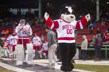 The Terrier was the pride and joy of Boston University long before it became the school's official mascot. PHOTO BY MICHELLE JAY/DAILY FREE PRESS STAFF