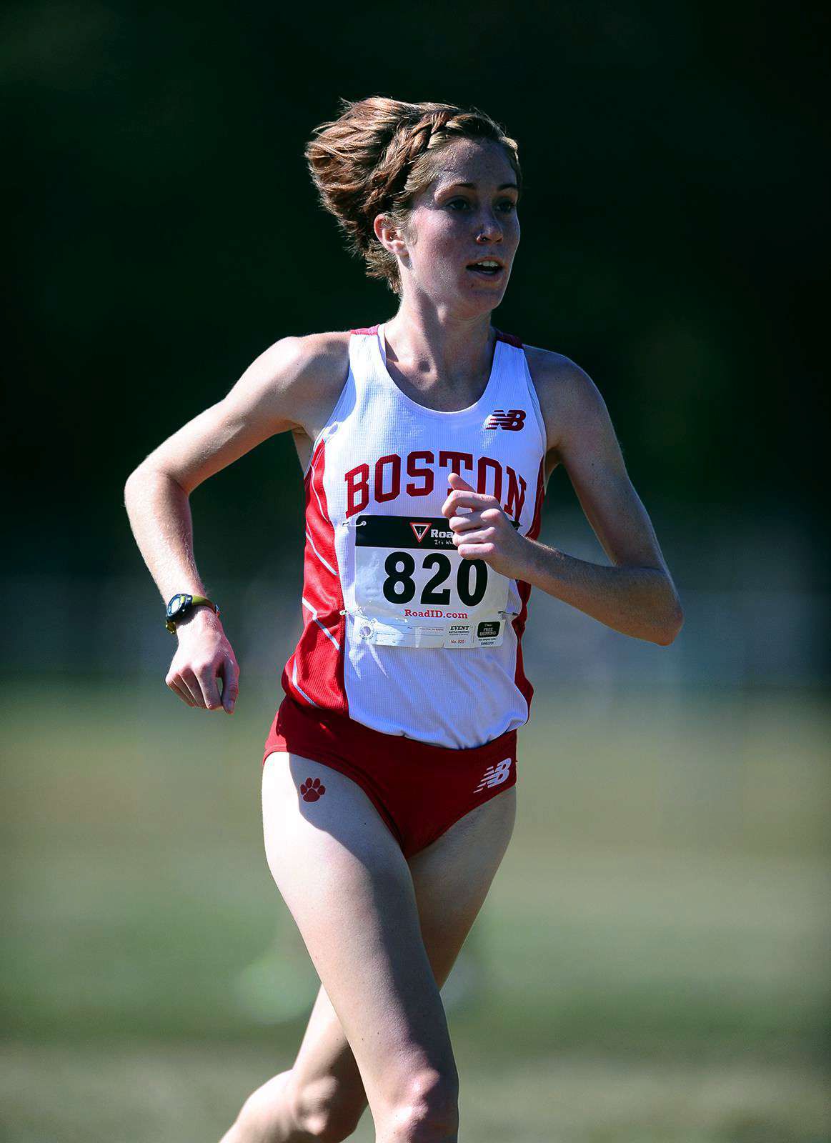 Cross country concludes season at NCAA Northeast Regionals The Daily