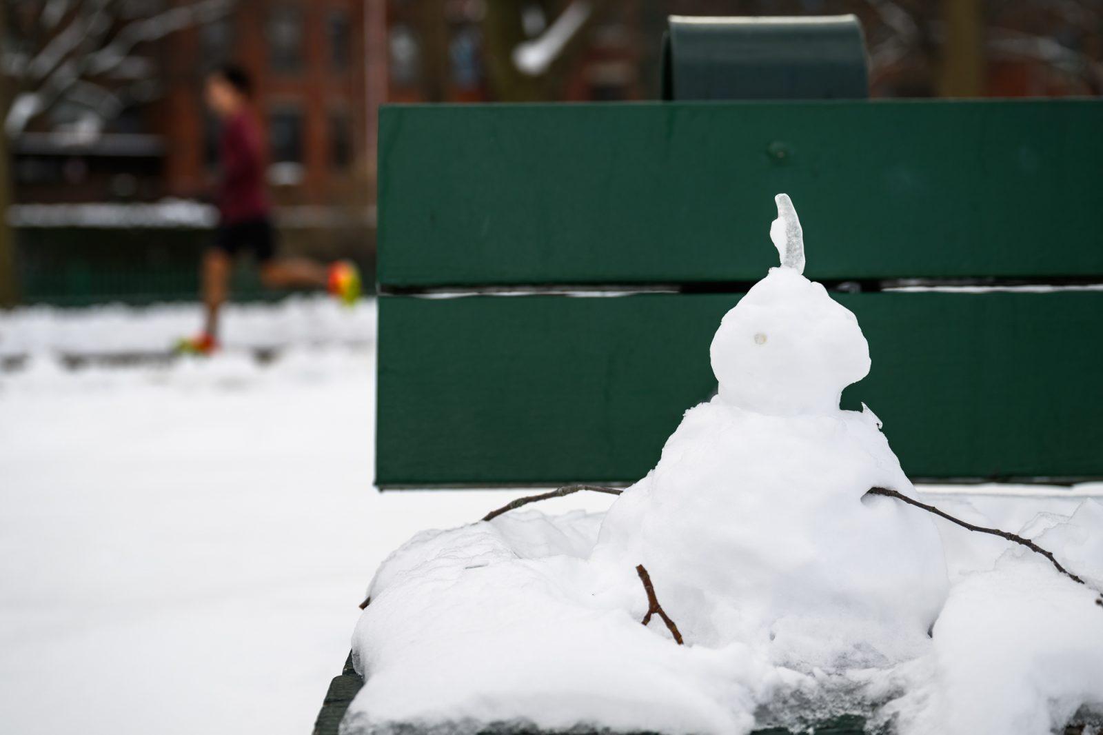 A small snowman sits on a bench along the Charles River Esplanade walking path. Drier winters in Massachusetts have contributed to the state’s worsening drought status. ANDREW BURKE-STEVENSON/DFP PHOTOGRAPHER 

