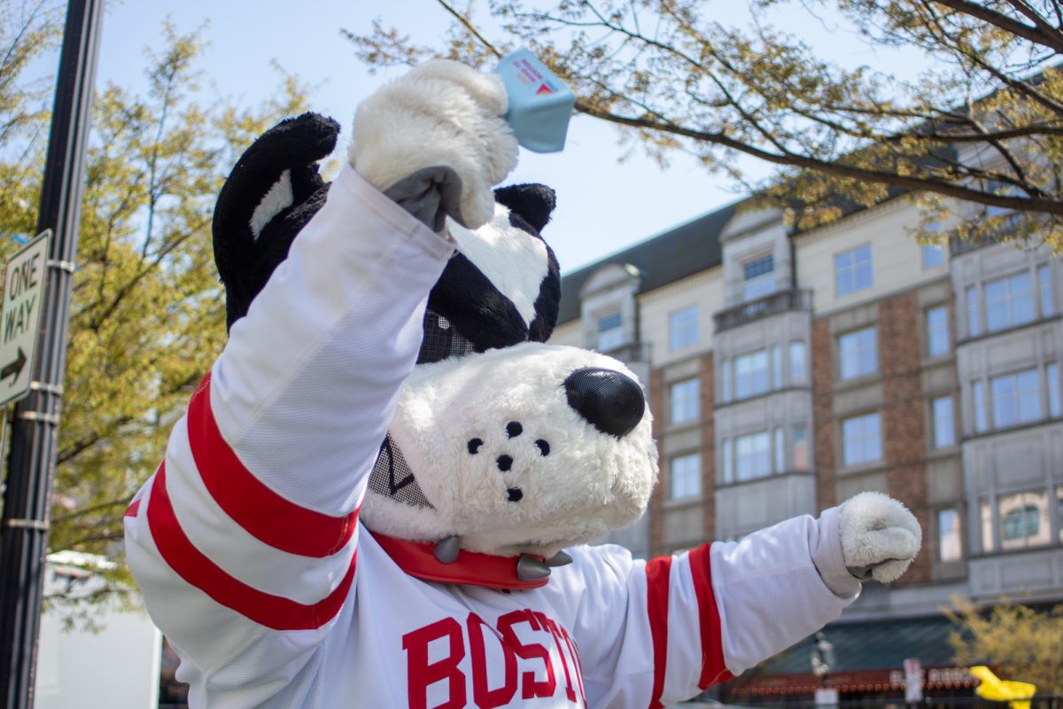 Boston University mascot Rhett rings a cowbell to cheer on runners. 