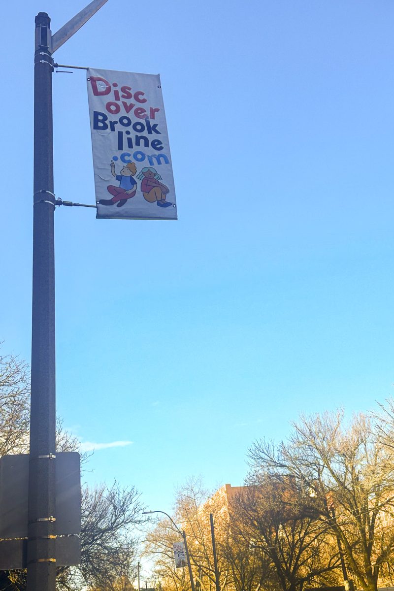 A DiscoverBrookline.com sign. The town of Brookline offers many opportunities for young people to get involved in the local government. 