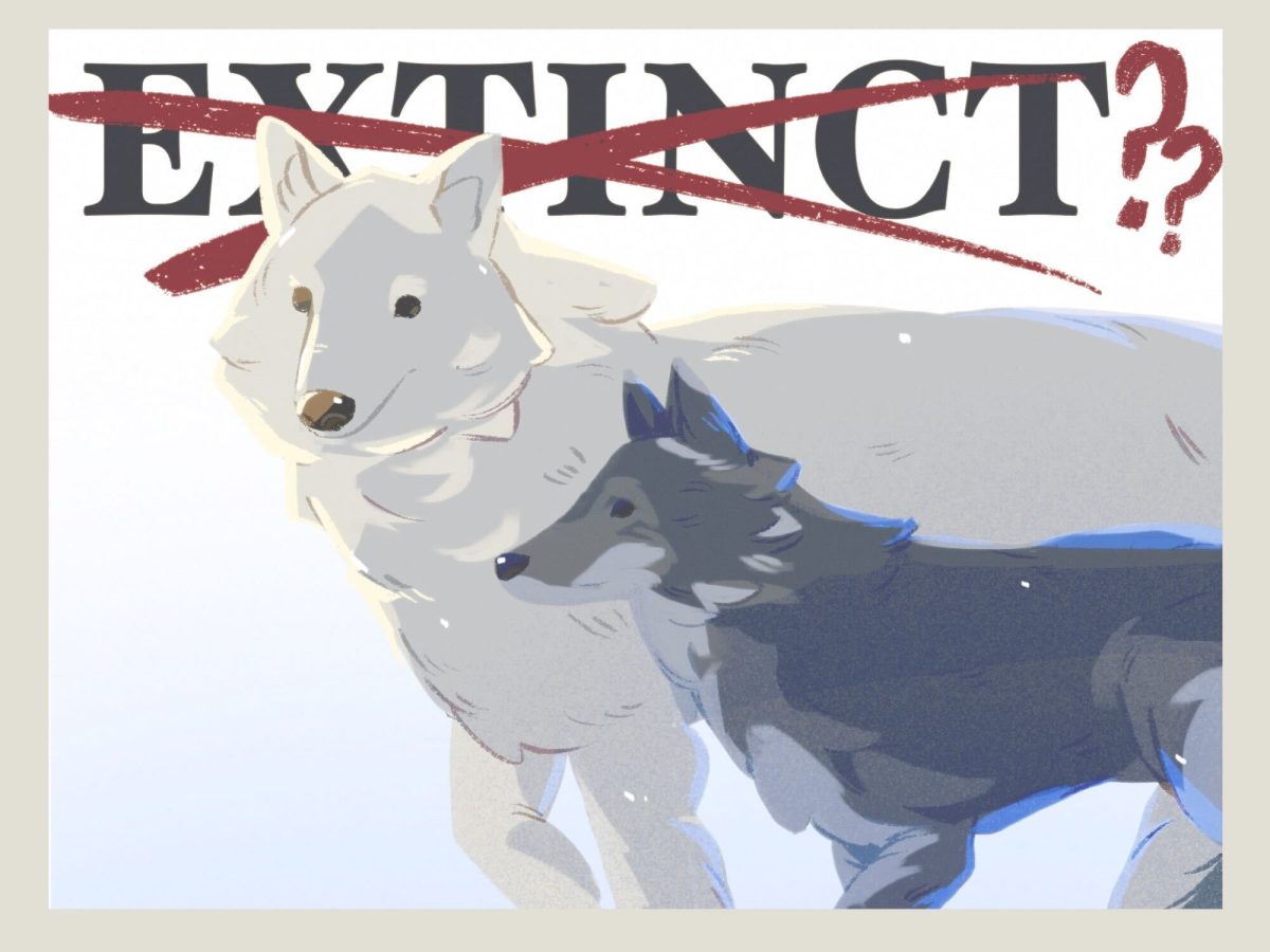 extinct wolf - Emma Hart - Senior Graphic Artist