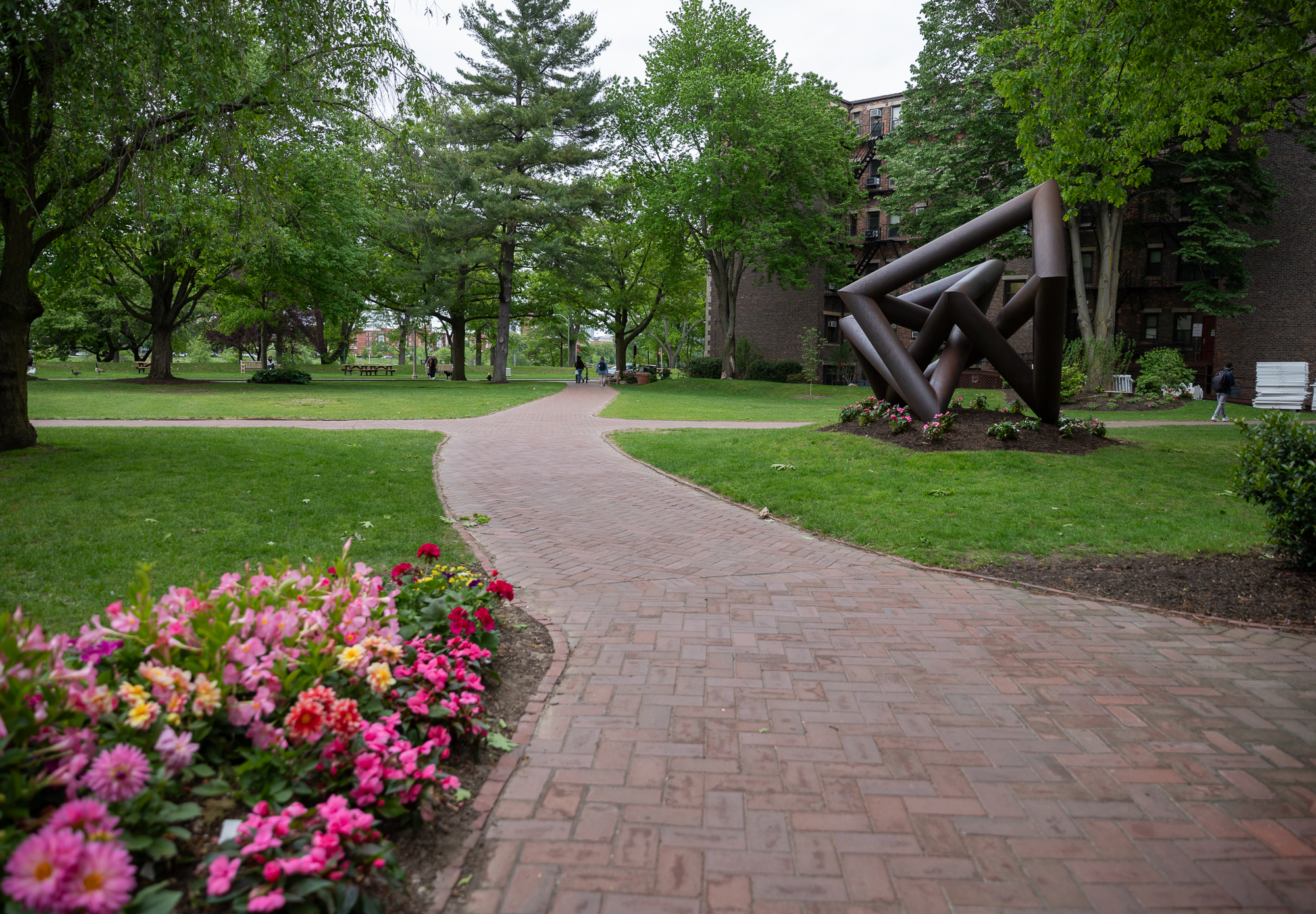BU students, professors find green space despite urban campus