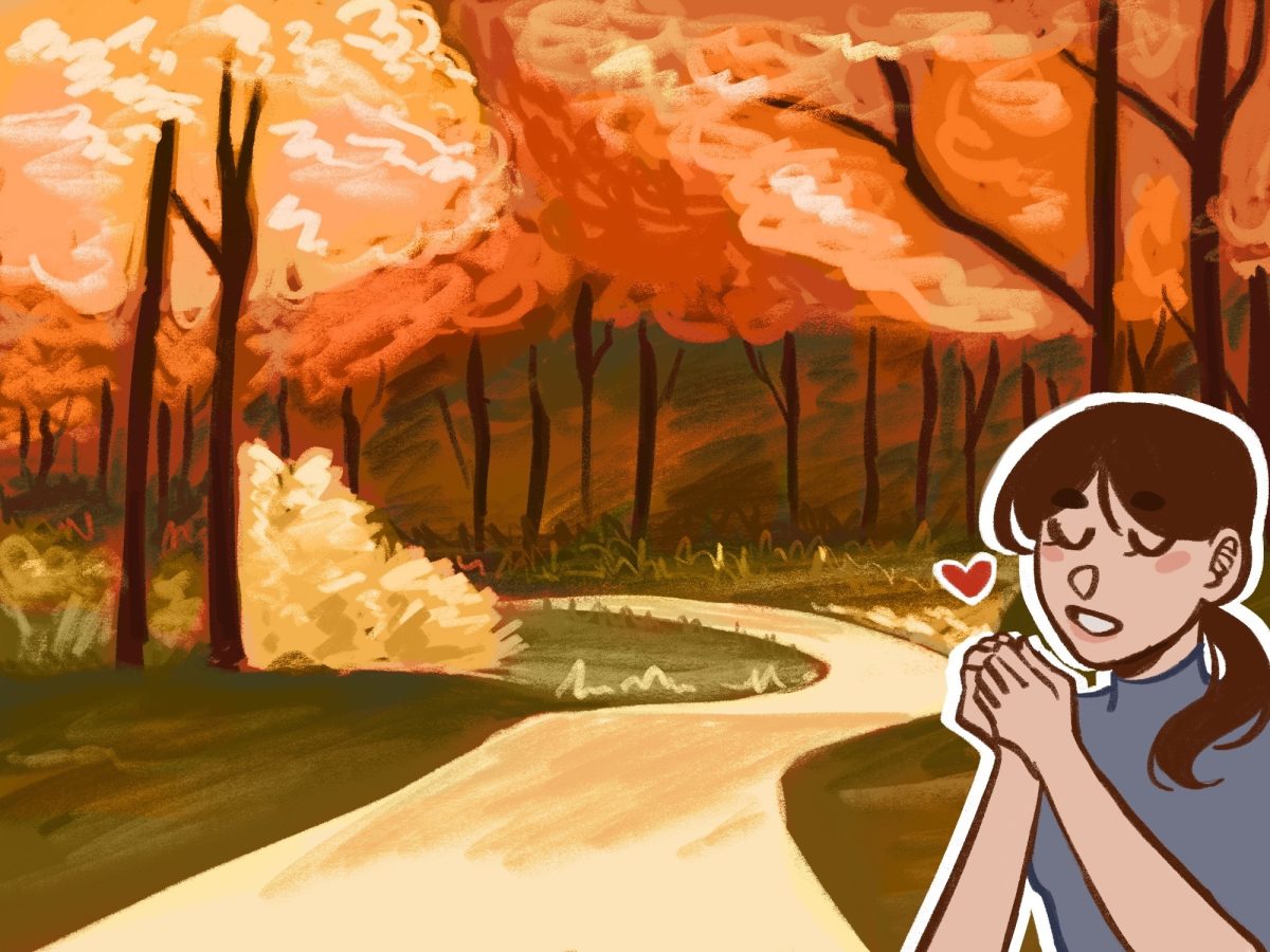 The fall facade: why students tend to romanticize autumn