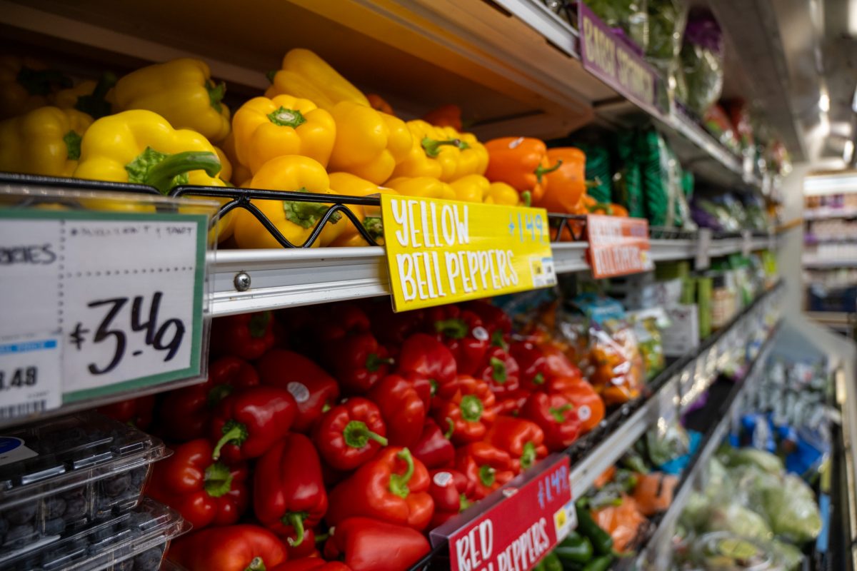 A produce stand at the Trader Joe’s on Boylston Street. Due to a rise in food pantry and nonprofit grocery store closures from cuts to Supplemental Nutritional Assistance Programs, the Boston City Council discussed the possibility of launching publicly-funded grocery stores across the city to combat food insecurity. 
