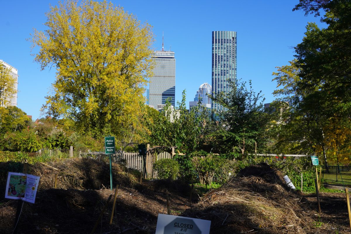 Fenway Victory Park, one of Boston’s most known and applauded greenspaces. Organizations around the city have been working to improve civilian access to greenery and pushing for energy sustainability. 