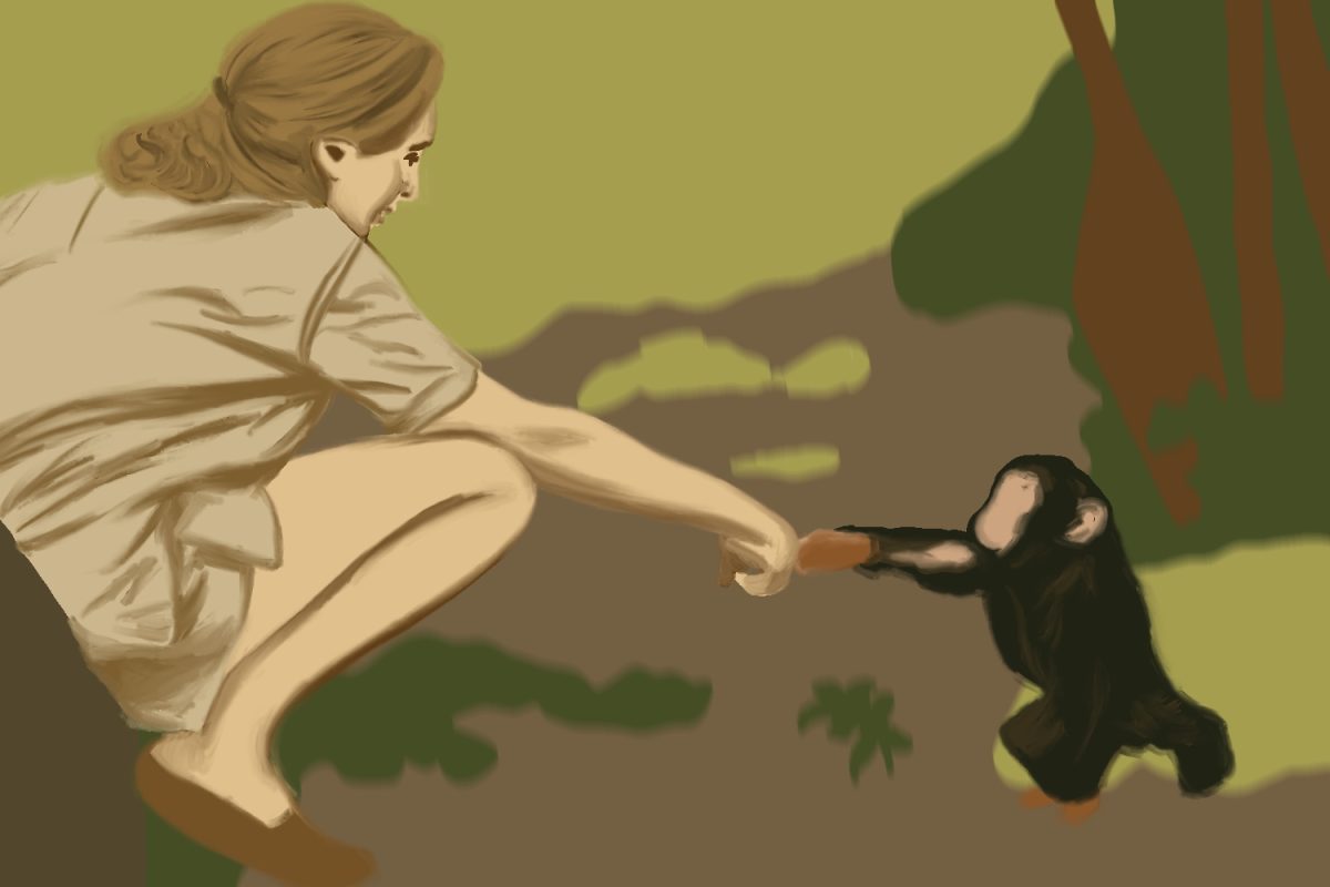 Beyond science: Jane Goodall’s legacy | Data Driven