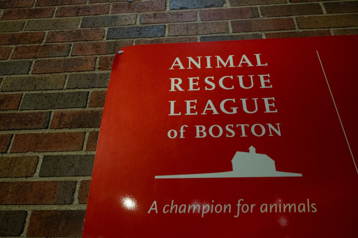 Animal Rescue League of Boston, located at 10 Chandler St., Boston. State Reps. David Rogers and Samantha Montaño, with the backing of animal rights organizations, presented two bills to advocate for more pet-friendly housing in Massachusetts. 