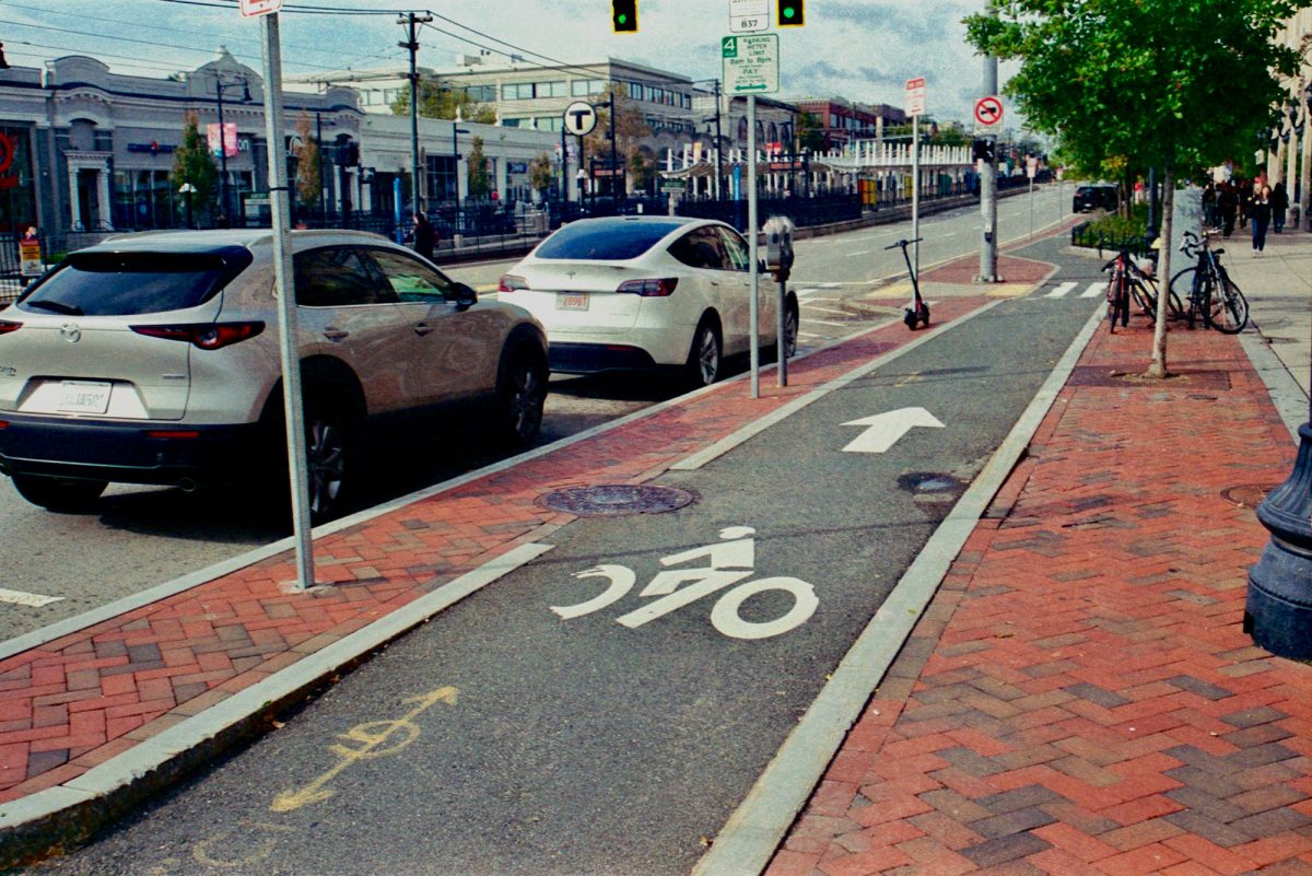 Bike lane on Commonwealth Avenue. Cyclists are advocating for safer bike lanes in Boston after three people were killed biking in Cambridge last year. 
