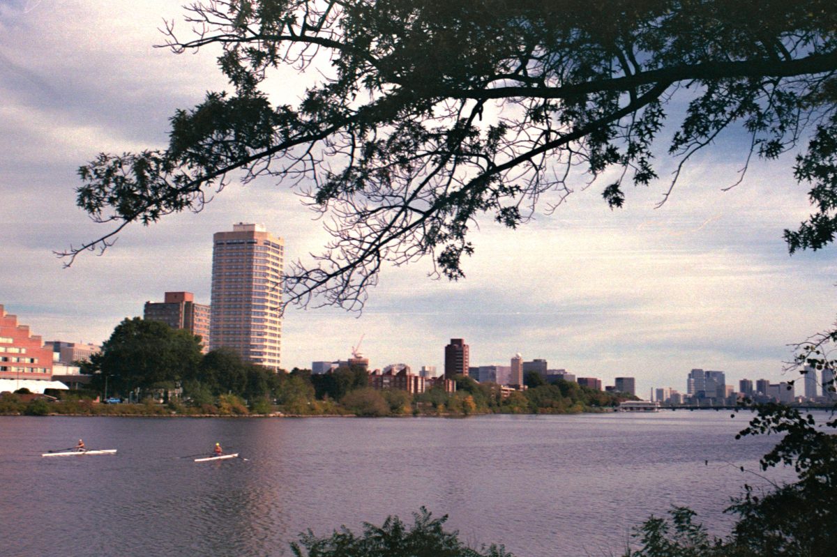 Rowers on the Charles River in Boston. This week, the Boston Public Health Commission announced a health alert for cyanobacteria algae blooms in the Charles River, containing toxins that can make people and pets sick. 