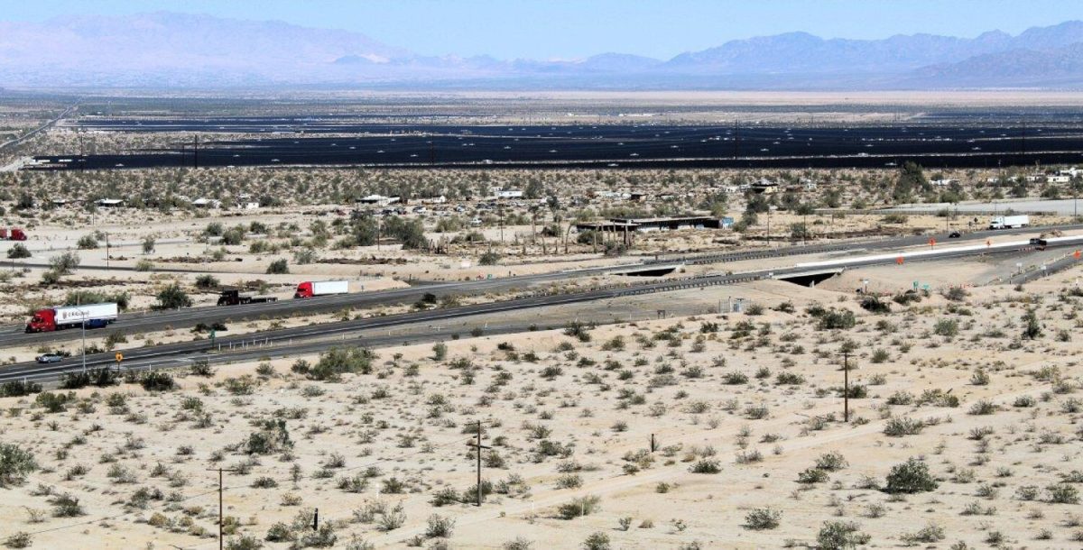 Looking northeast Desert Center in California, above I-10, at the Oberon solar monoculture. Boston University postdoctoral student Alexander Dunlap has been studying solar panel sites across the country. 