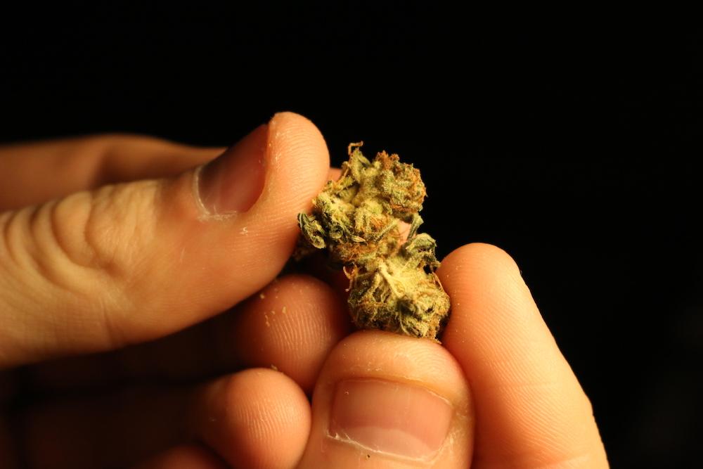 The Cannabis Control Commission is being pressured to limit its recreational industry beginning this summer. PHOTO BY BETSEY GOLDWASSER/ DAILY FREE PRESS STAFF
