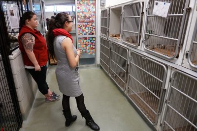 Massachusetts Gov. Charlie Baker and Lt. Gov. Karyn Polito have united with the Animal Rescue League of Boston to highlight the progress of animal shelters across the Commonwealth. PHOTO BY JUNE KIM/ DAILY FREE PRESS STAFF 