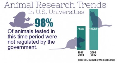 Although government data shows that research on large animals has decreased, there has been an increase in the total use of animals in experiments, according to a report published Wednesday by People for the Ethical Treatment of Animals. GRAPHIC BY ALEXANDRA WIMLEY/DAILY FREE PRESS STAFF