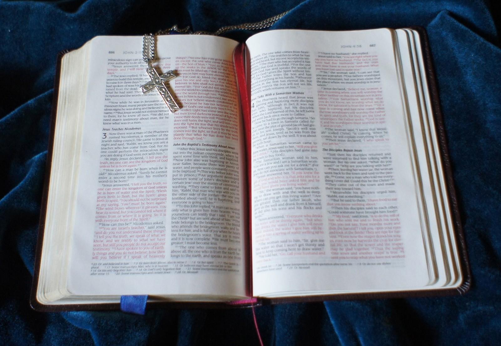 EDITORIAL: Official state books are a step too far