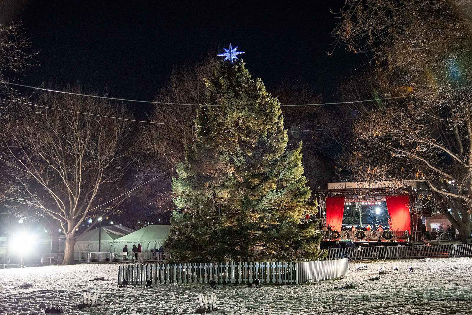 The Christmas tree in the Boston Common, which was lit at the annual ceremony Thursday night alongside food, music and a surprise appearance from country artist Dolly Parton. DANIEL MU/ DAILY FREE PRESS STAFF