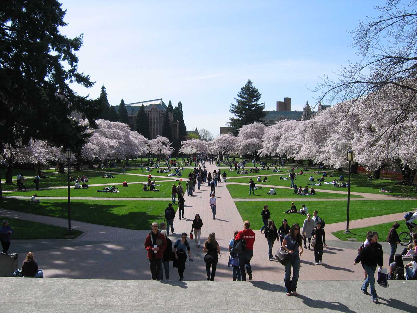 EDITORIAL: A safer campus