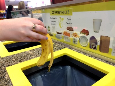 Since the statewide food waste ban implemented by the Massachusetts Department of Environmental Protection began in October, waste disposal and composting efforts have improved. PHOTO ILLUSTRATION BY CARLY-ROSE WILLING/DAILY FREE PRESS STAFF