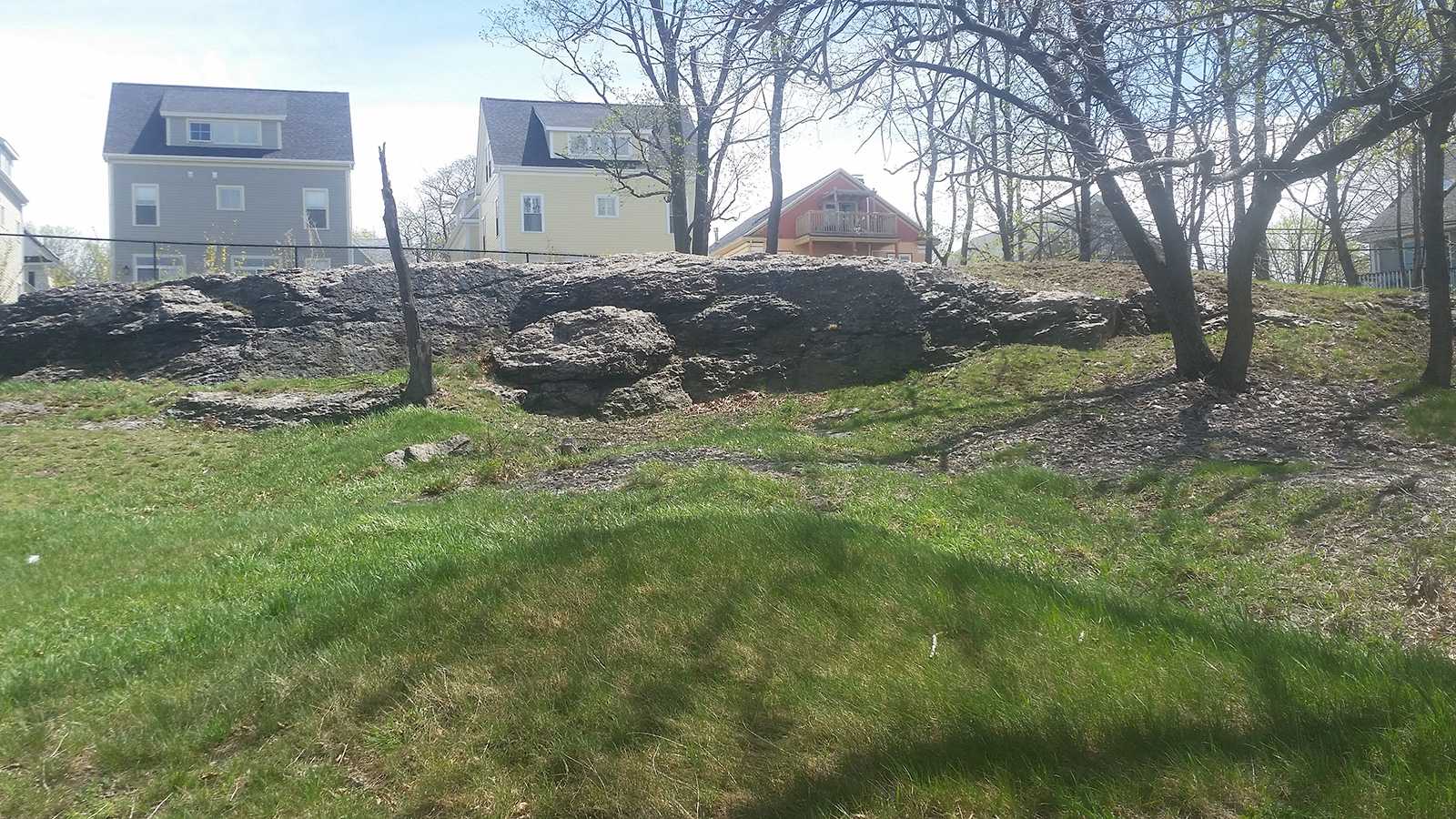 A city-owned vacant lot on Savin Hill Ave. in Dorchester has been acquired by the non-profit Boston Food Forest Coalition that will develop it as a community green space. COURTESY ALANA GODNER-ABRAVANEL 