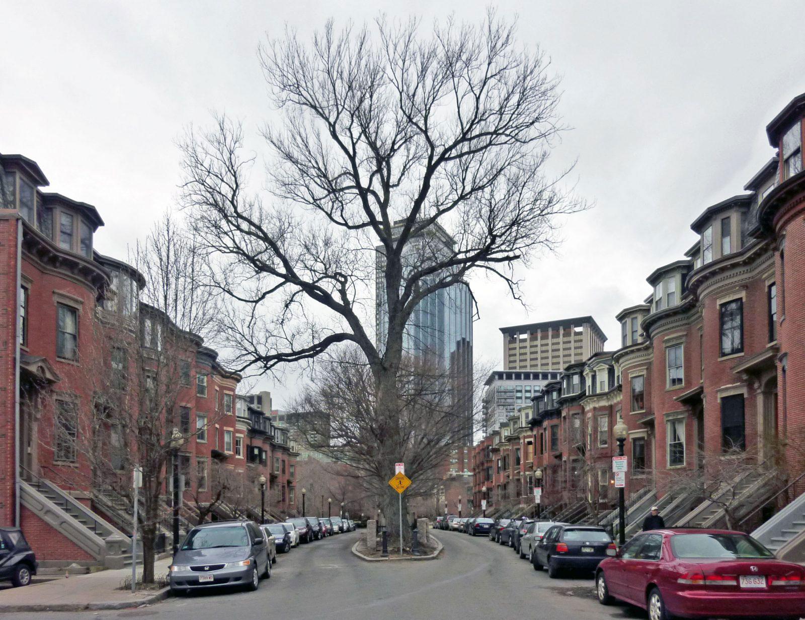 Braddock Park in Boston’s South End. Housing rental prices in Boston increased by 1.3 percent from 2018 to 2019, the lowest per-year increase since the city began tracking the data in 2014. COURTESY WIKIMEDIA COMMONS