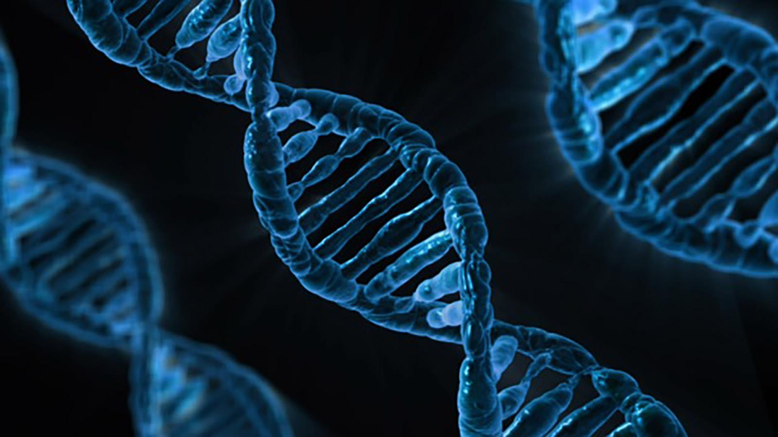 EDITORIAL: GeneSight test may help to alleviate mental health stigma