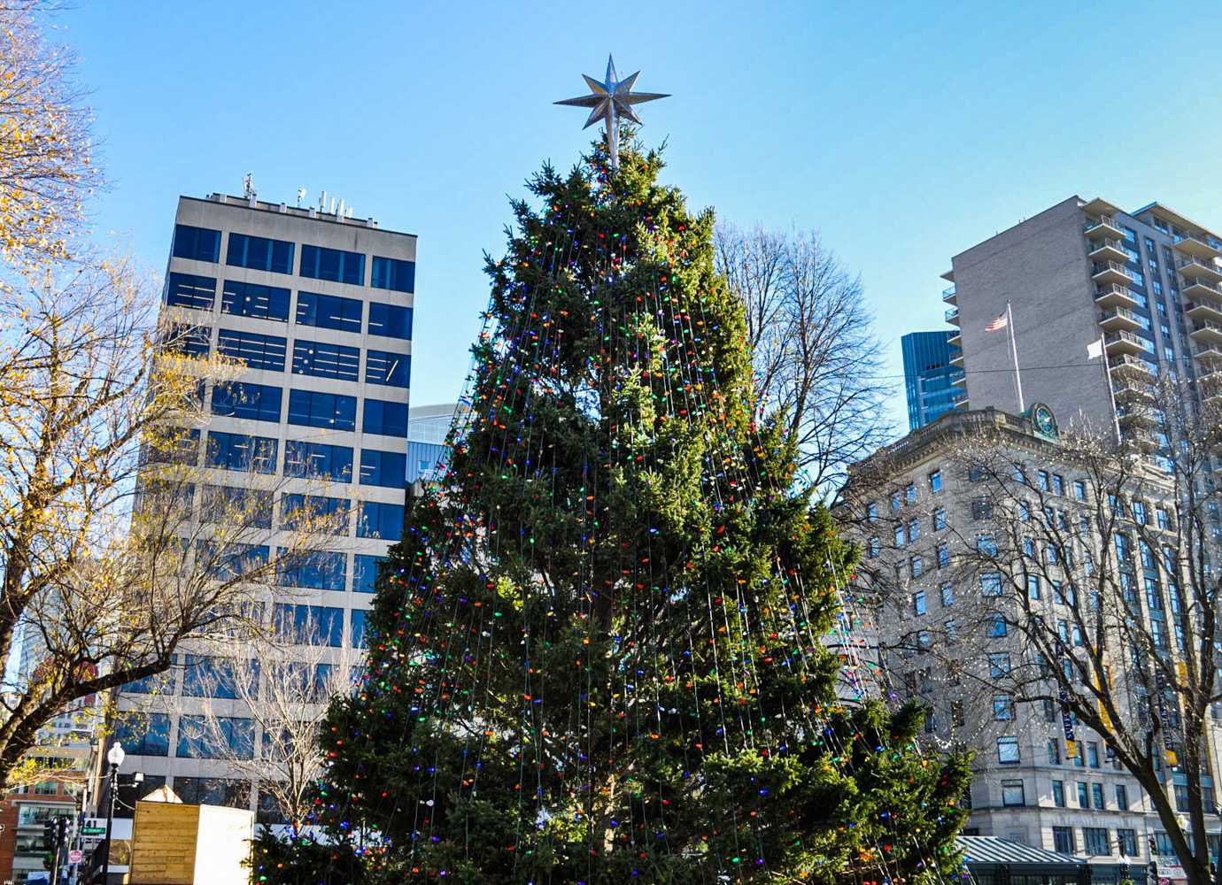 Christmas Tree Boston Common