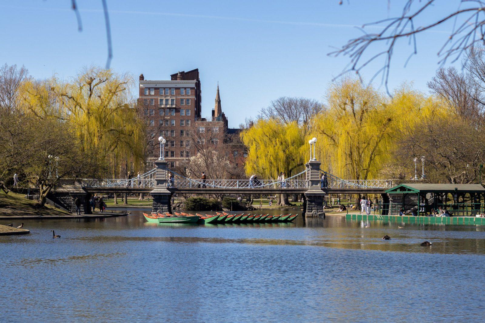 Boston Public Garden. The construction around the Boston Public Garden to improve accessibility and restore fountains has been ongoing for nearly five months. HALEY ALVAREZ-LAUTO/DFP PHOTOGRAPHER