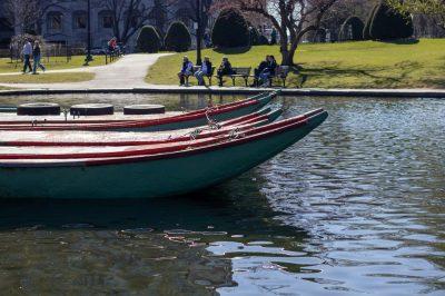 The front of the swan boats sitting in the Public Garden.