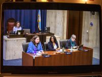 city council hearing