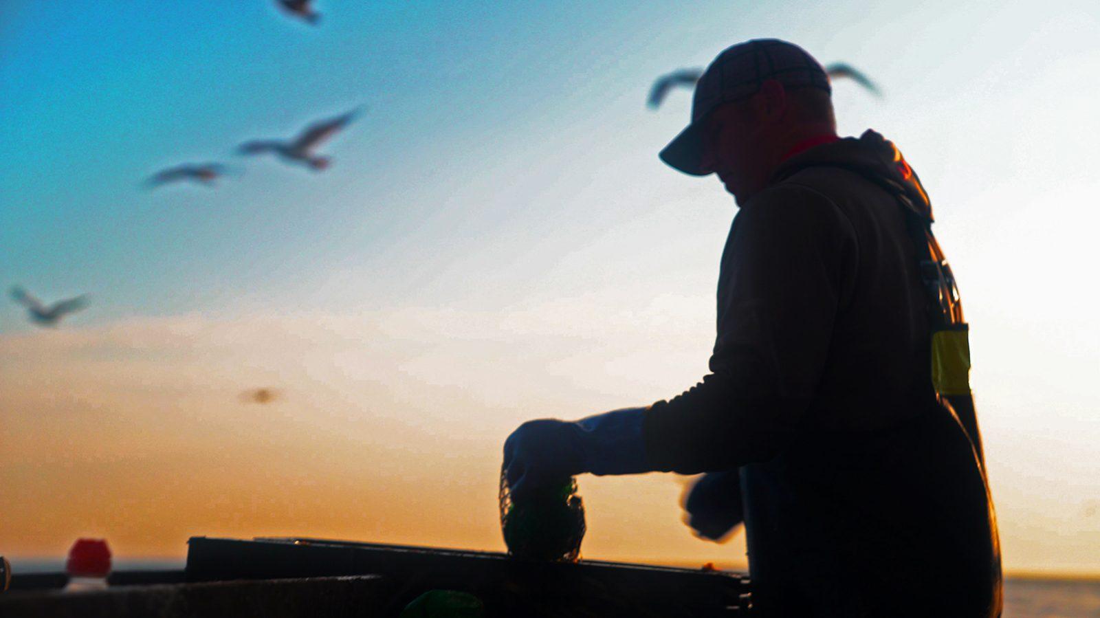 “Lobster War: The Fight Over the World’s Richest Fishing Grounds,” directed by Pulitzer Prize winner David Abel, dives into the territorial conflict between Canadian and American lobster fishermen. COURTESY OF DAVID ABEL