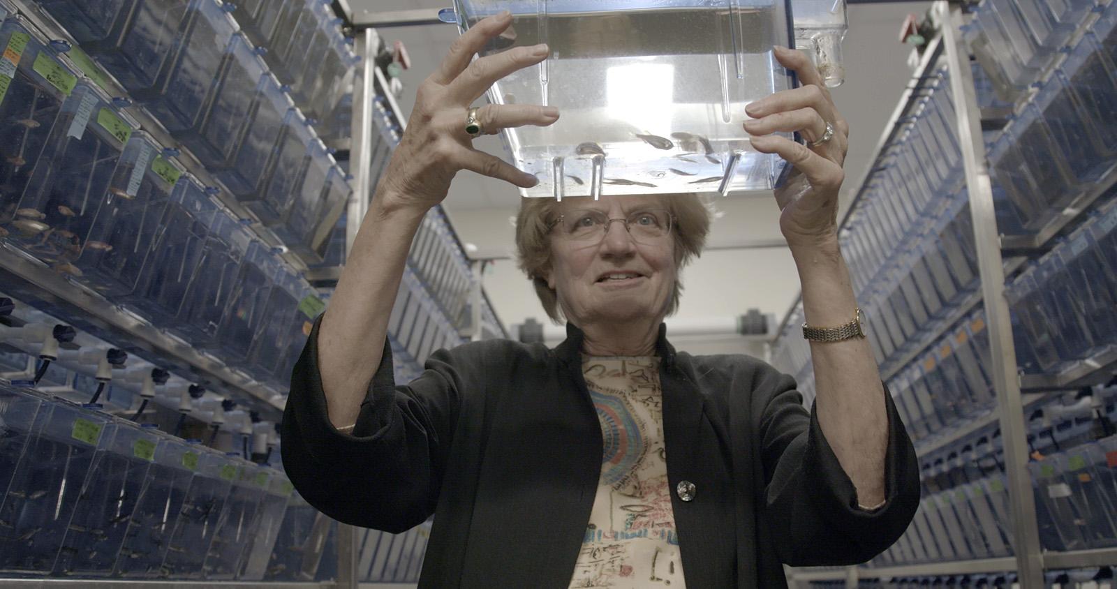 Nancy Hopkins from the film Picture a Scientist
