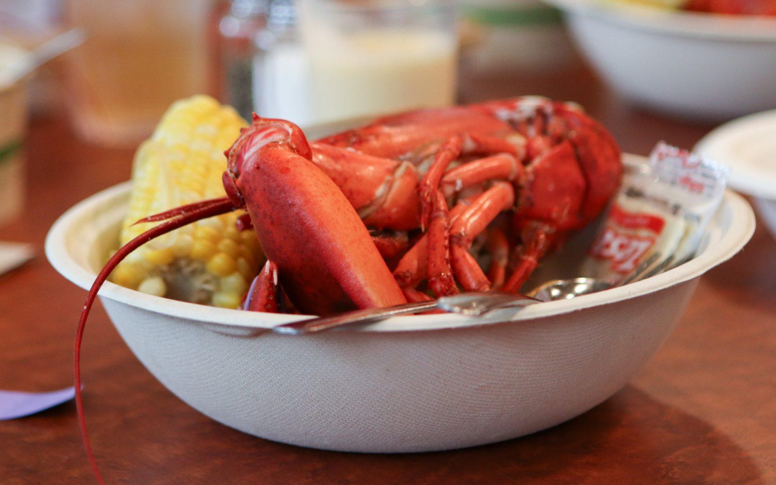 Students’ dinners at Lobster Night included a whole boiled lobster, corn on the cob and potatoes. RACHEL FEINSTIEN/DFP PHOTOGRAPHER