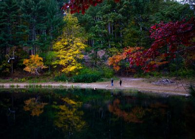 Walden Pond