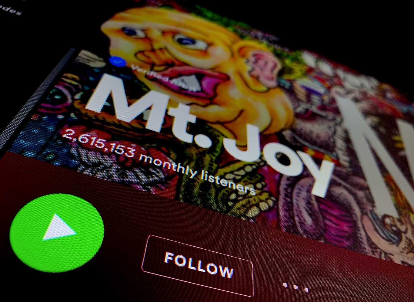 Mt. Joy Spotify