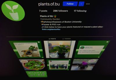 Plants of BU Instagram Account
