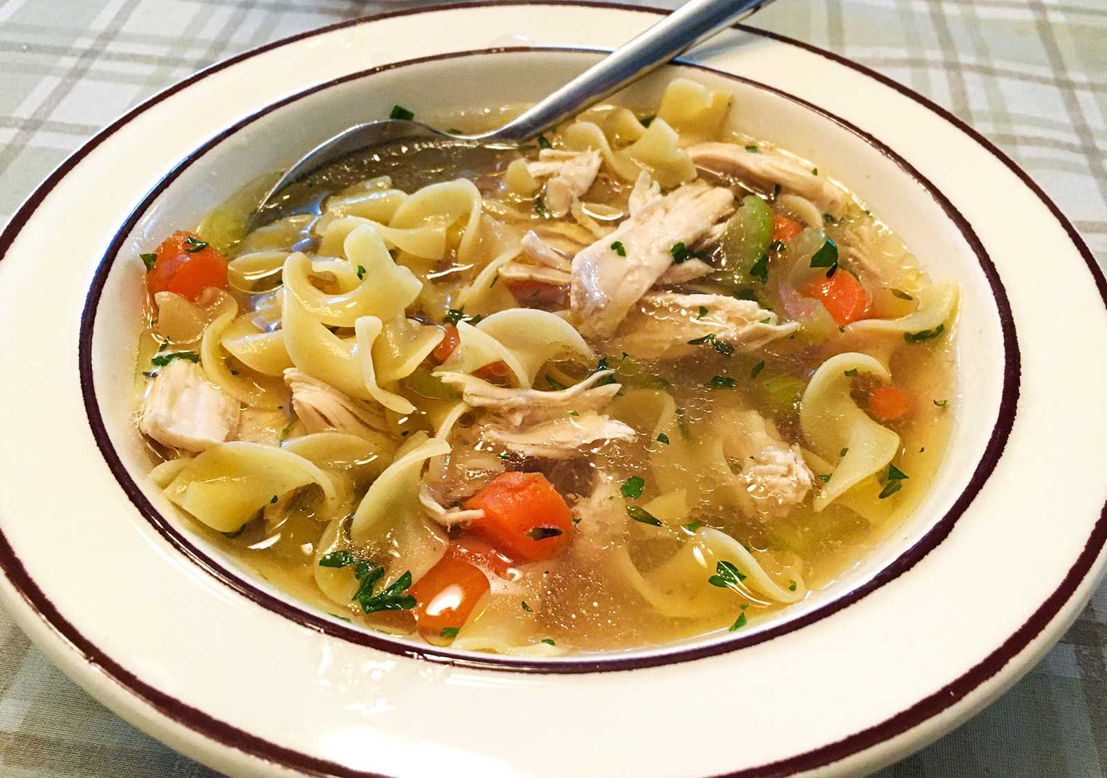 chicken noodle soup