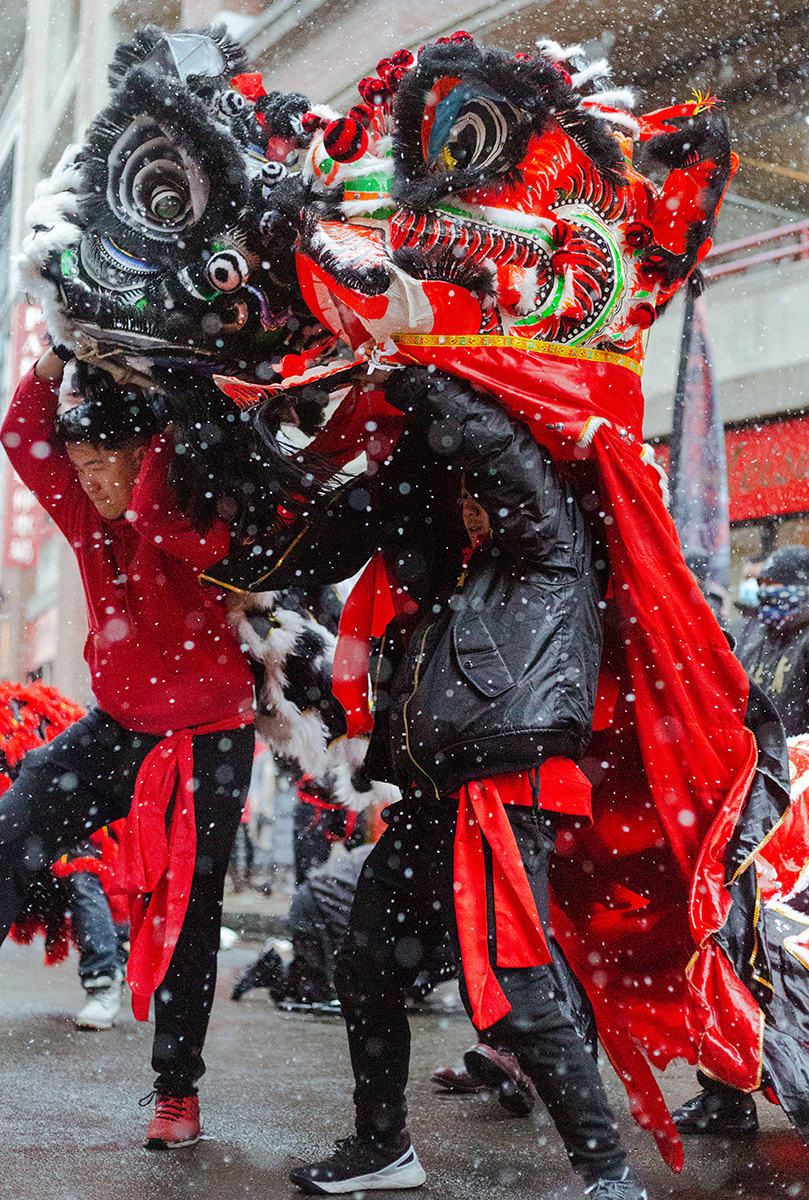 Lunar New Year Parade Gallery