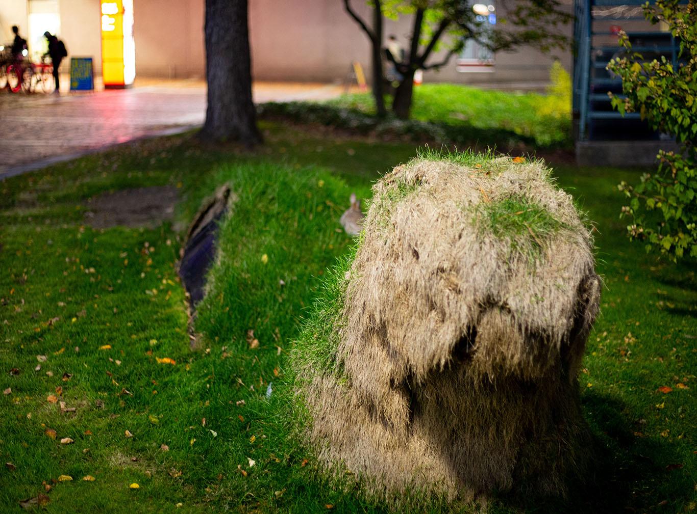 The head of the Dakota folkloric water monster Unktehi in artist Erin Genia’s “Caution: Cultural Emergency” installation outside of the George Sherman Union. Genia’s installation explores the intersection of several themes concerning climate change, Indigenous peoples and decolonization, racial inequality and more. ANH NGUYEN/ DAILY FREE PRESS STAFF
