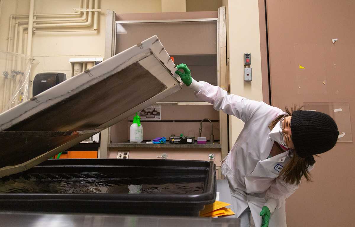 Associate Professor at Boston University’s College of Fine Arts, Lucy Kim, makes screen prints. Kim received the “Creative Capital Awards” grants for developing Melanin Images via Genetically Modified E. coli that raise awareness for antiracist thinking. ANH NGUYEN/DFP STAFF