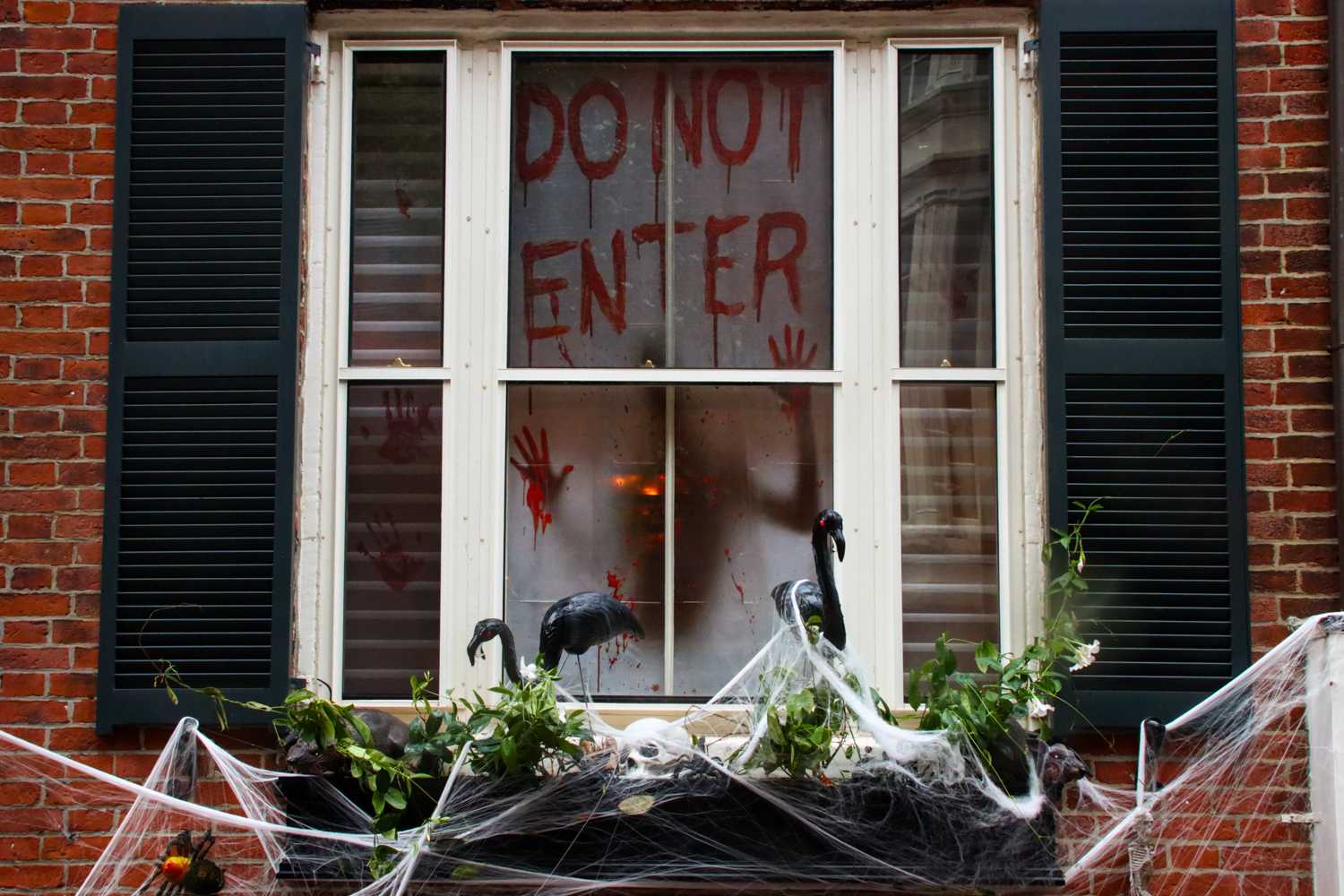 Haunted house decorations in Beacon Hill. For much of her life, Michelle’s love for the Christmas season has heavily outweighed her appreciation for Halloween and Autumn, but now is starting to warm up to all the little gems that come with the season. CLARE ONG/ DAILY FREE PRESS STAFF
