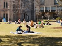 students sit on the grass at bu beach