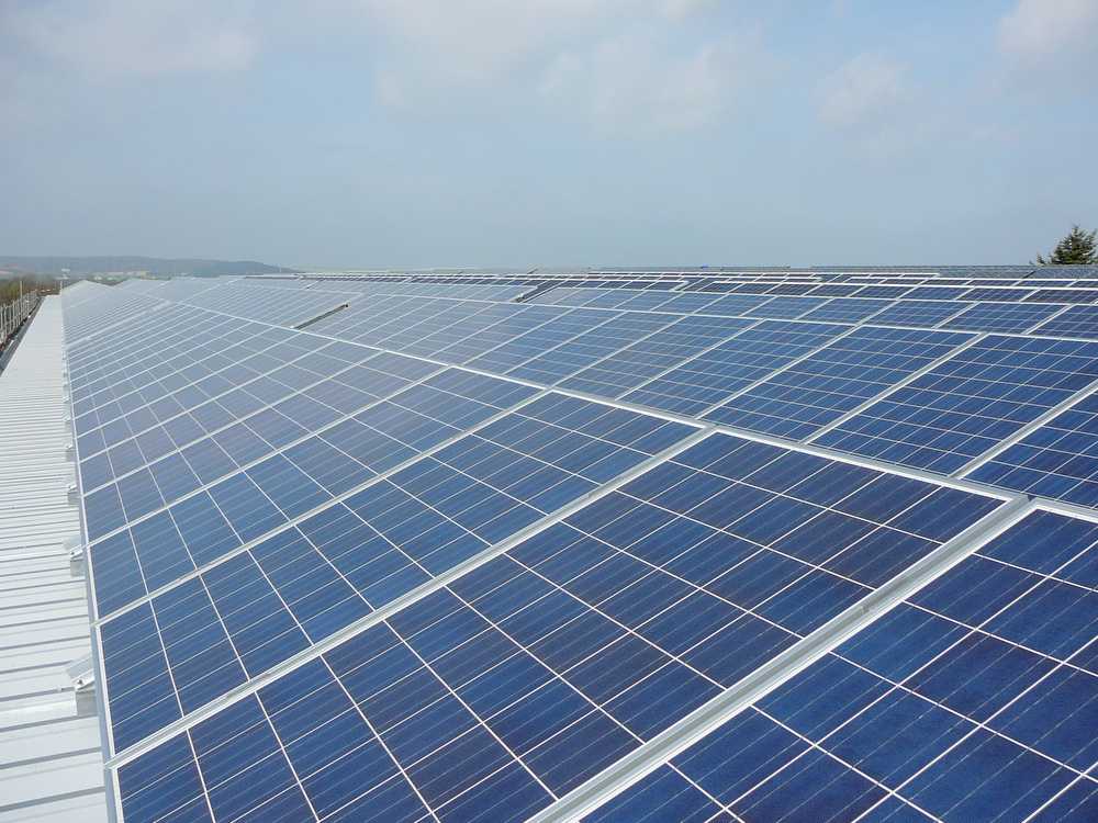 A field of solar panels