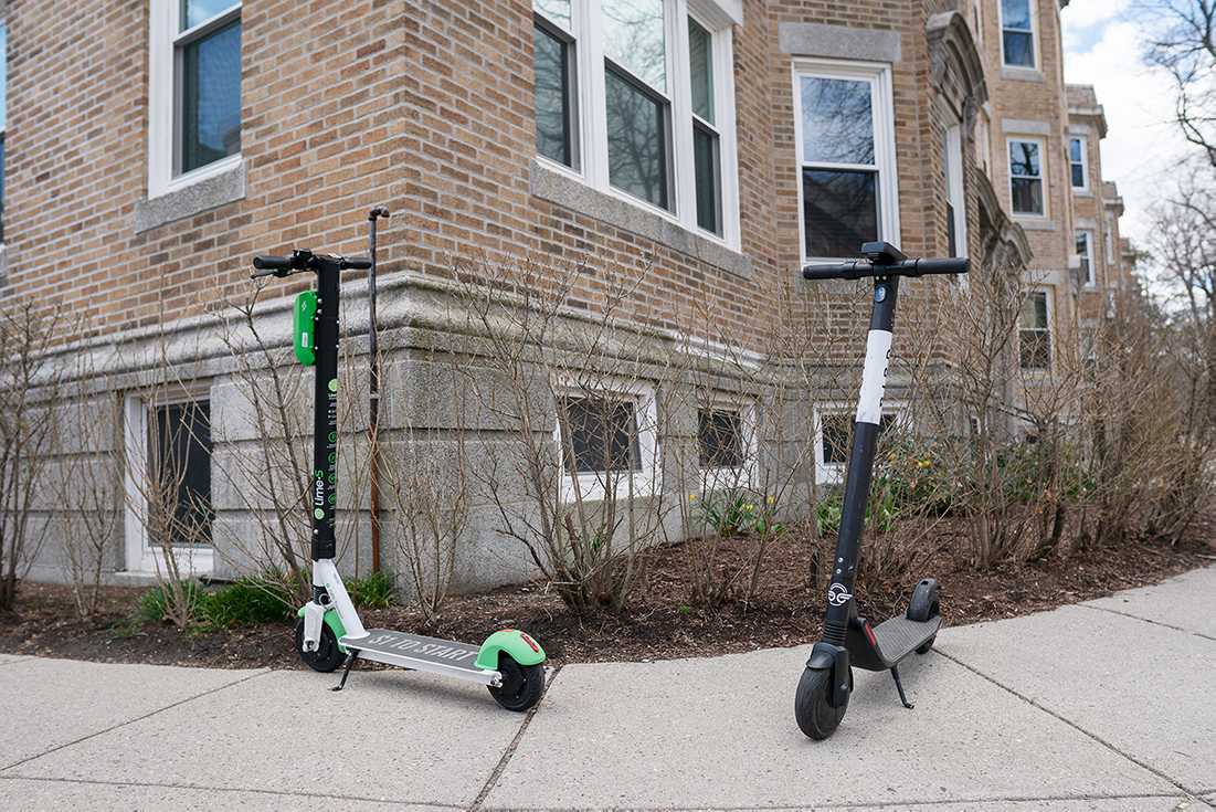 Bird and Lime scooters parked on a sidewalk in Brookline. SOPHIE PARK/ DFP STAFF 

